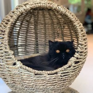 Meet your Posher, The charleston